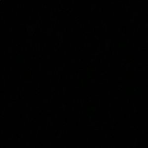 Meet your Posher, Shay